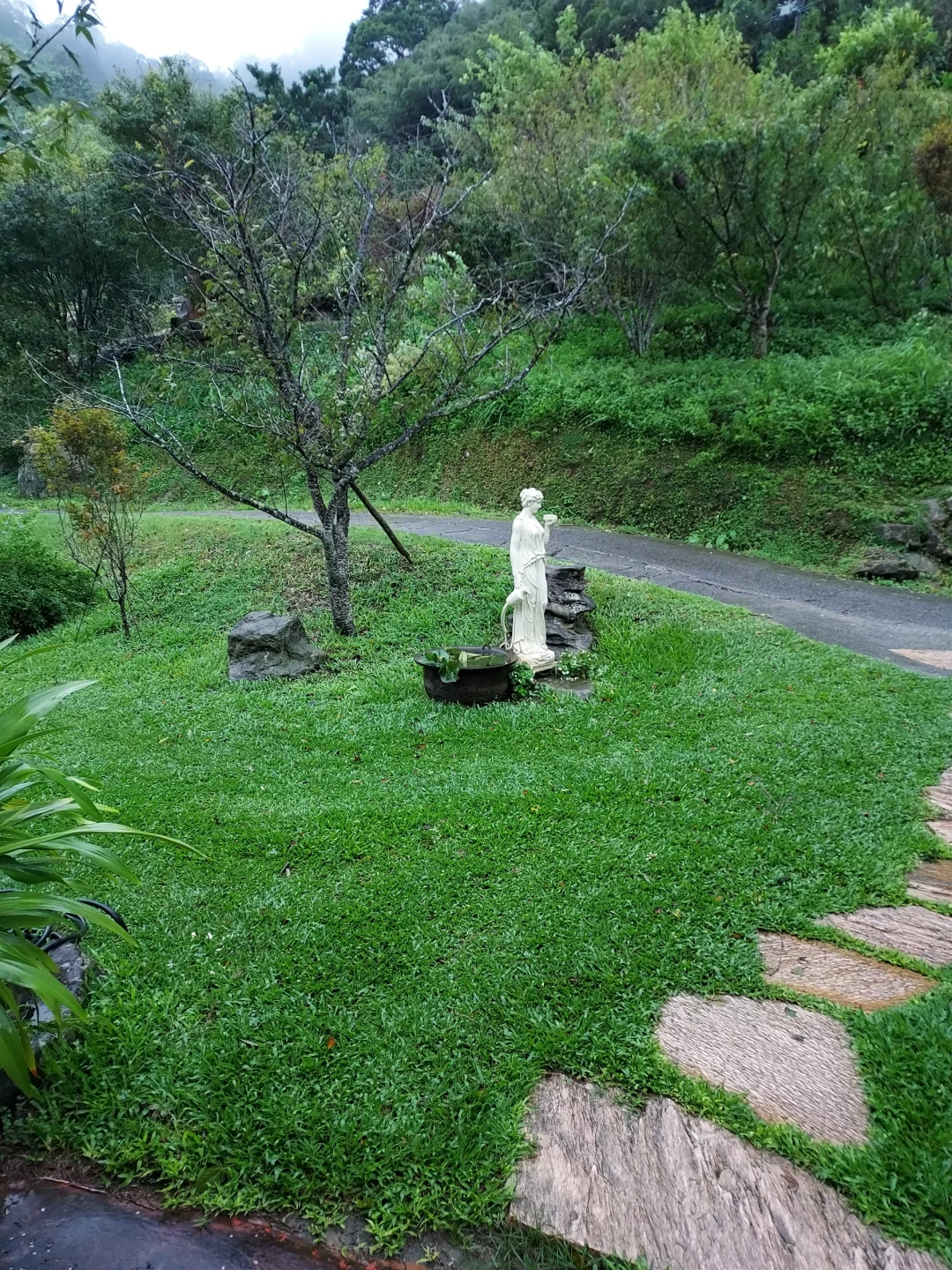 苗栗三義、漫步雲端