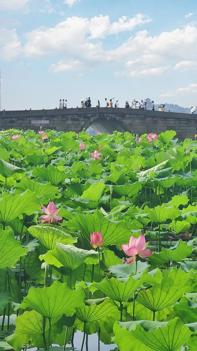 杭州西湖