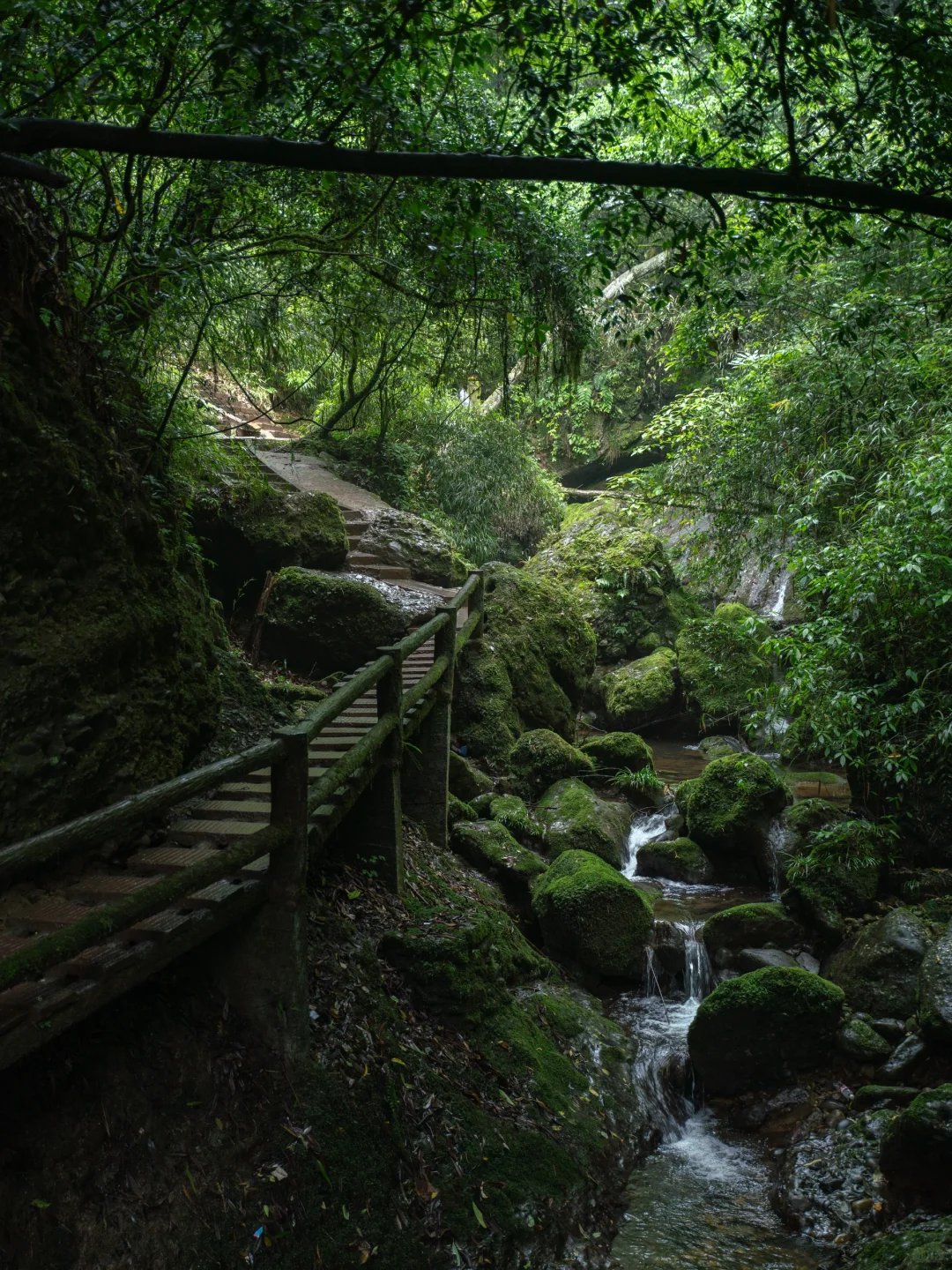 真不是游戏场景，我找到了现实版仙侠世界🌲