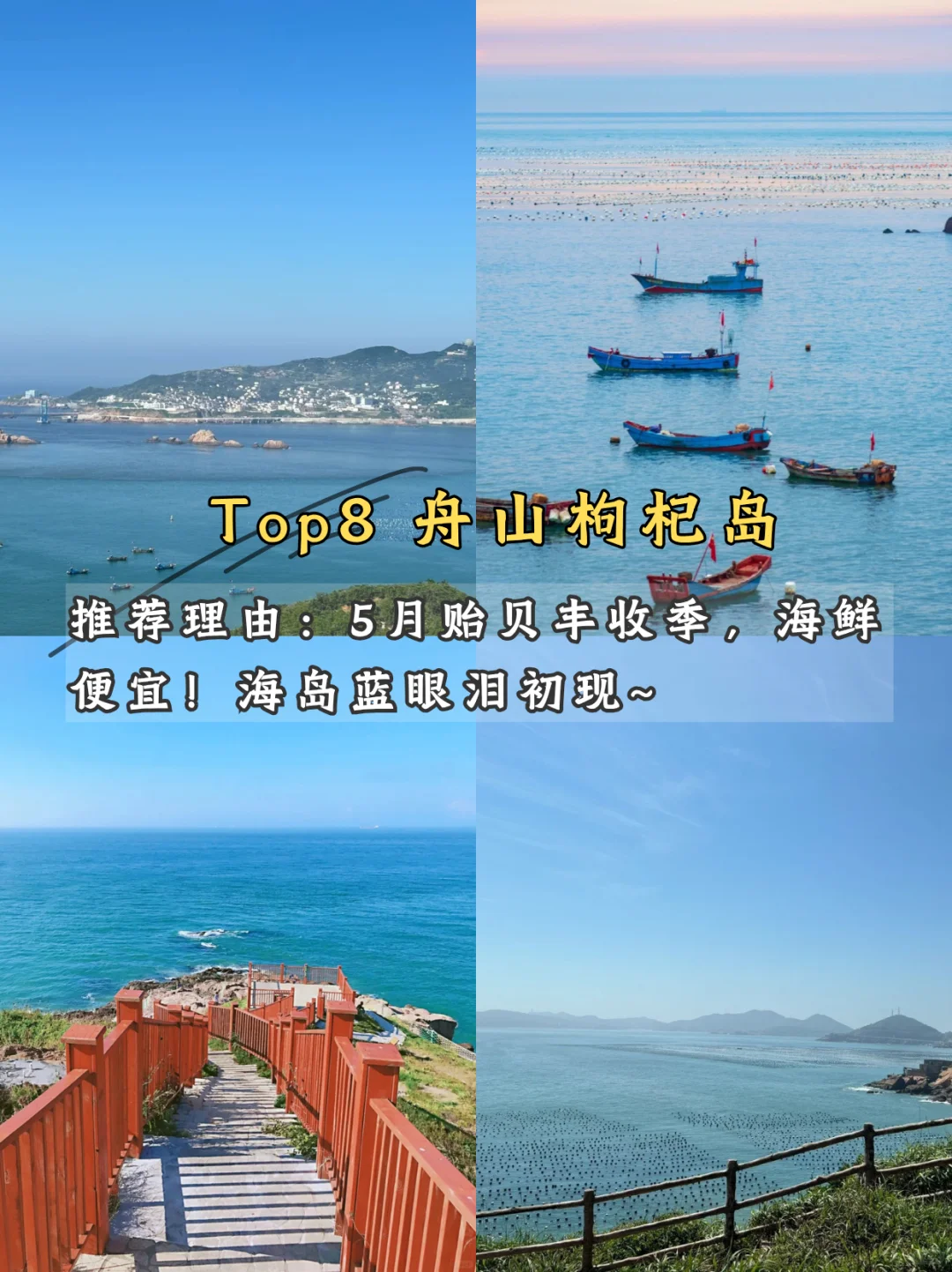 🌿 五月限定美景！学生党也能冲！
