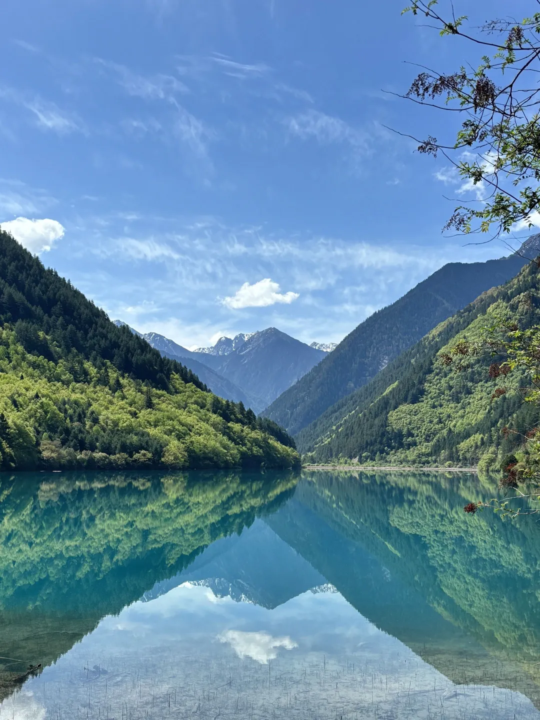 5.5📍九寨沟已回，累吐啦😅我来说点大实话……