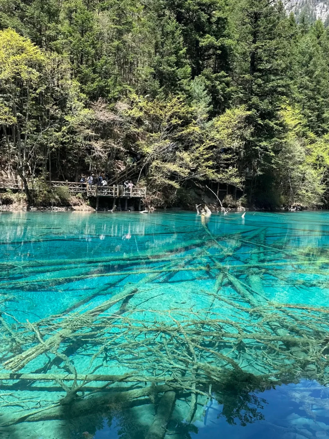 5.5📍九寨沟已回，累吐啦😅我来说点大实话……