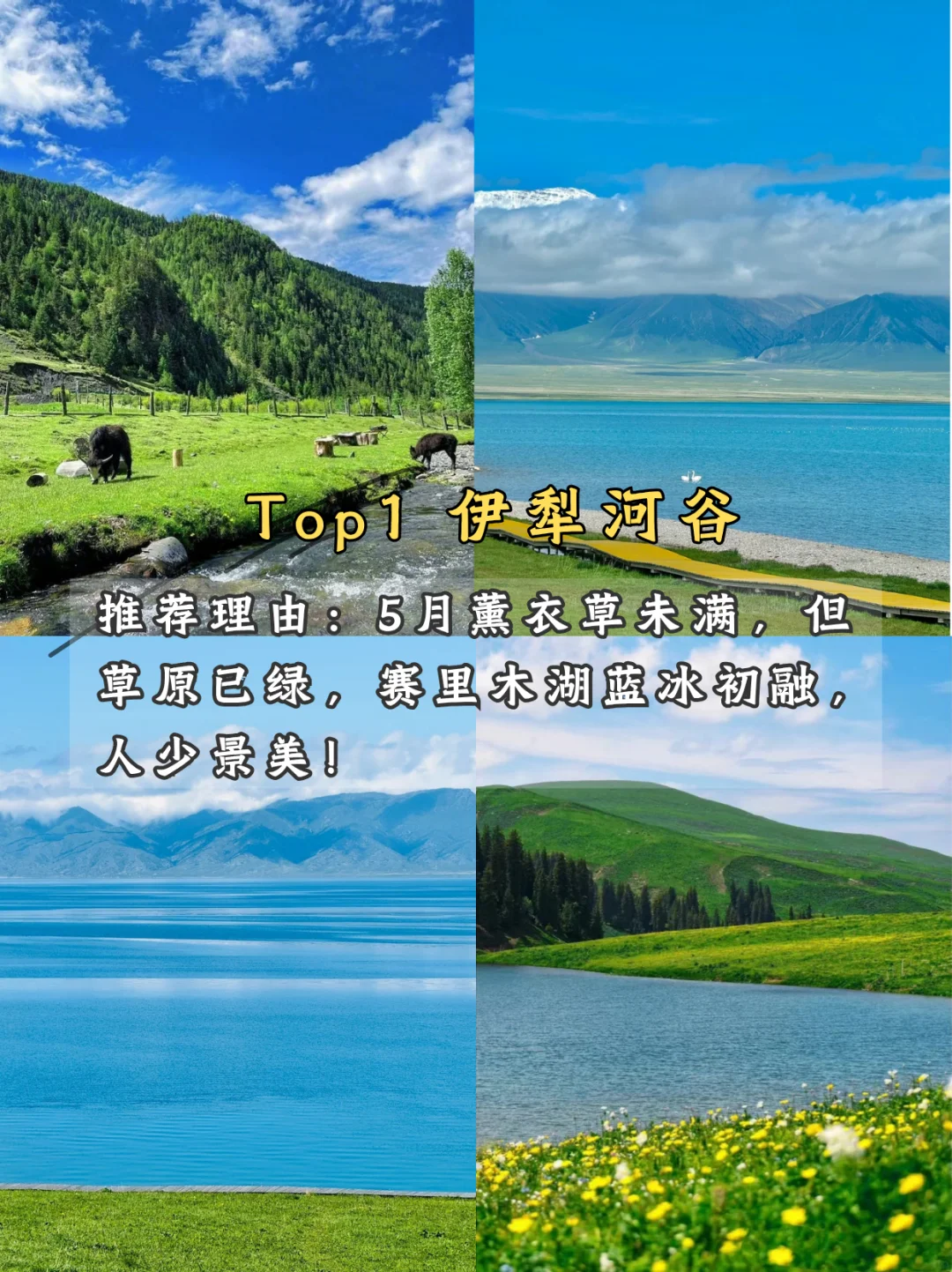 🌿 五月限定美景！学生党也能冲！