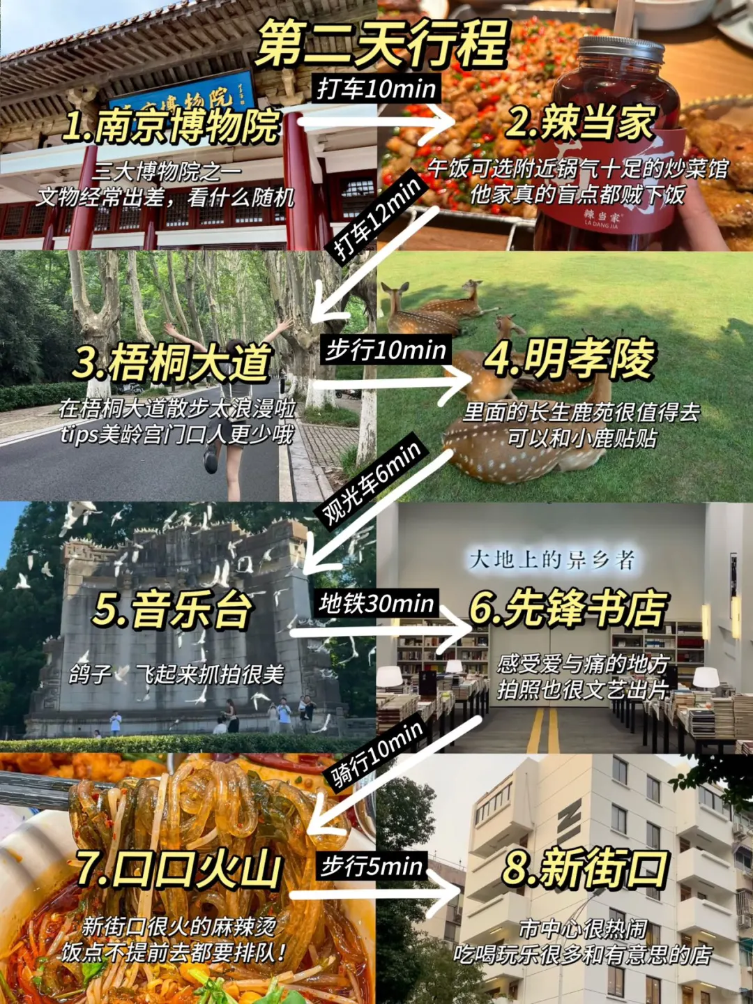 南京已回（已被宰）内容很脏，但很真实！