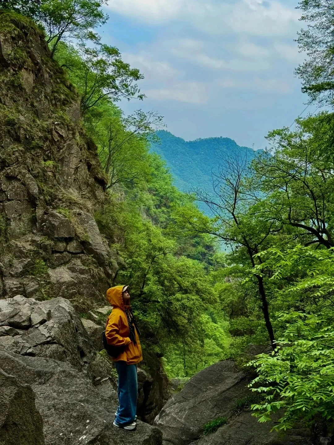 洛阳白云山📍｜超全旅游攻略‼️