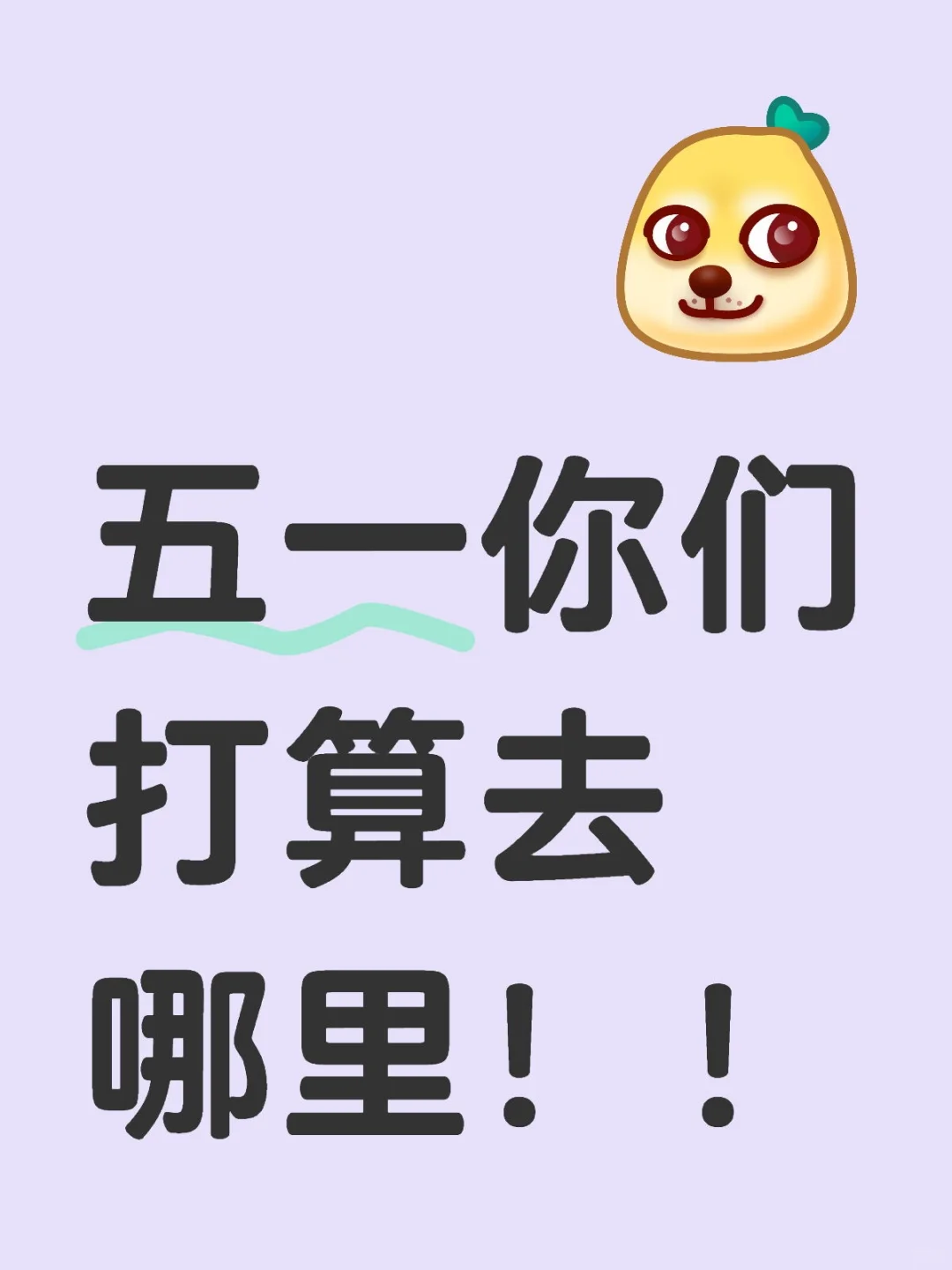 五一你们打算去哪里！！