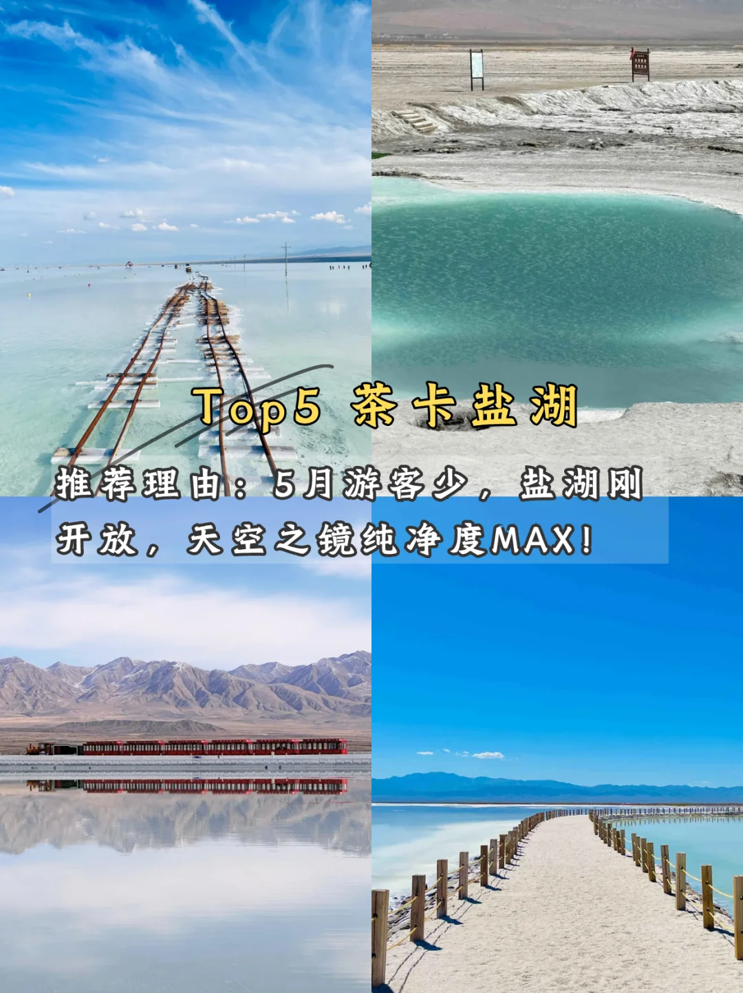 🌿 五月限定美景！学生党也能冲！