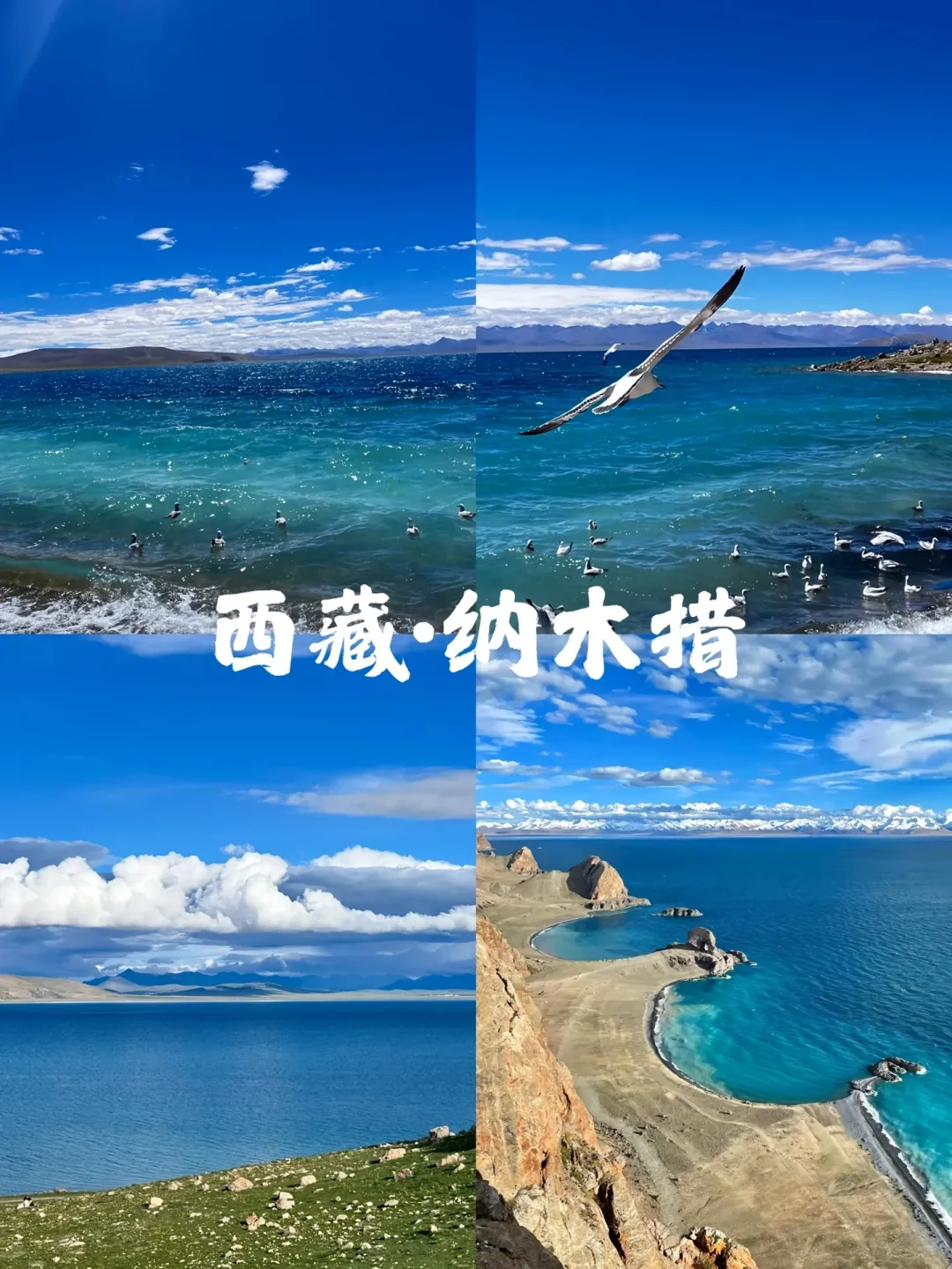 国内顶级景区⛰️你都去过哪里呢？