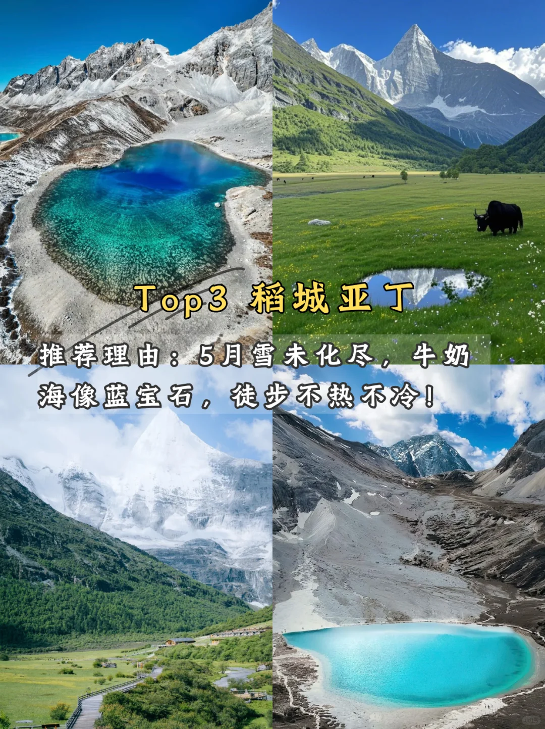 🌿 五月限定美景！学生党也能冲！