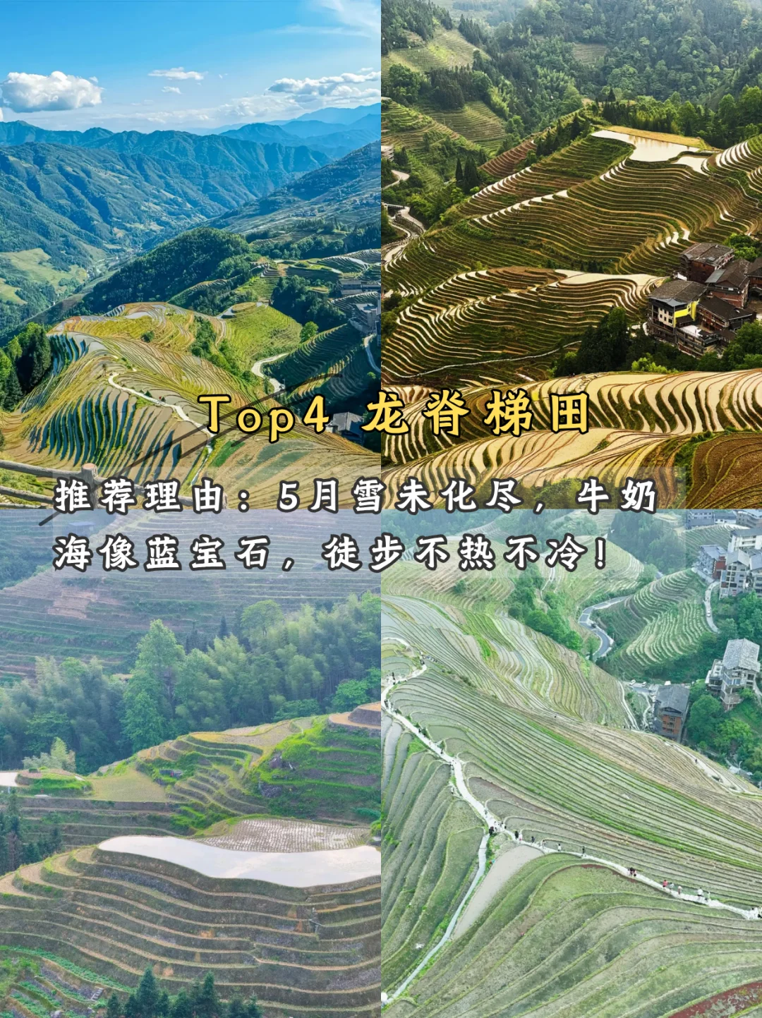 🌿 五月限定美景！学生党也能冲！