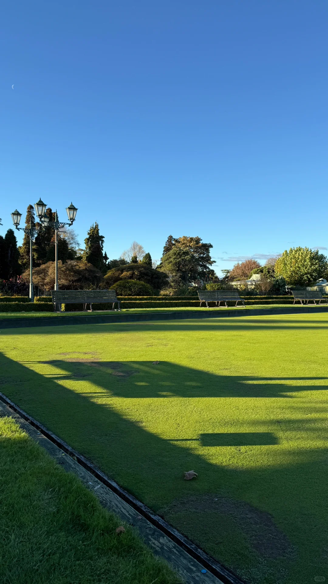 pics in NZ ..🧩