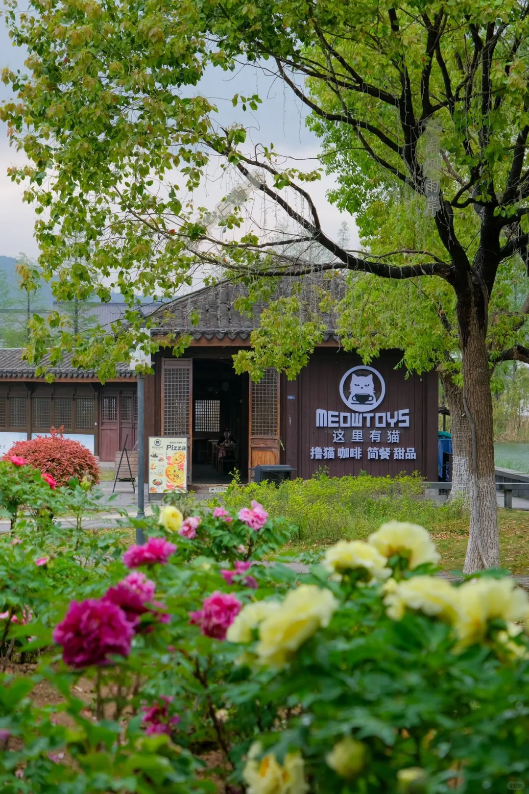五一反向旅游｜躲进江南莫奈花园打包春天