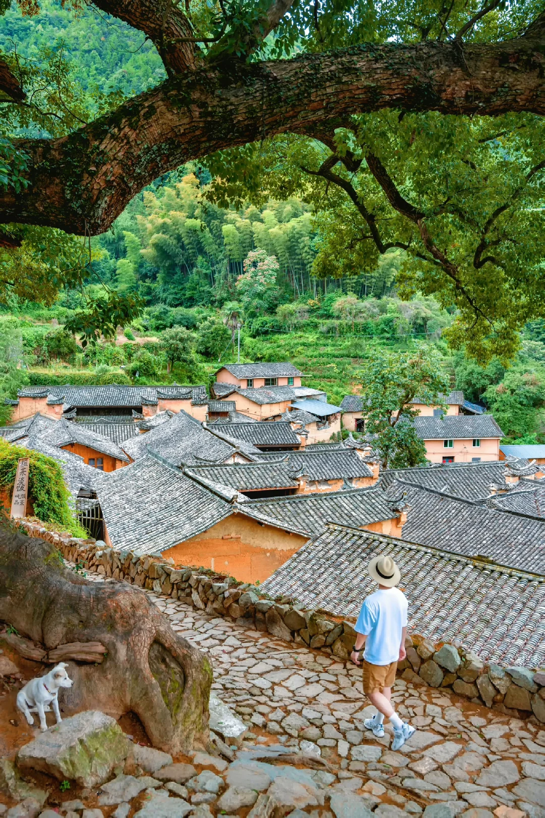 相比杭州，我更爱国家地理推荐的冷门小城