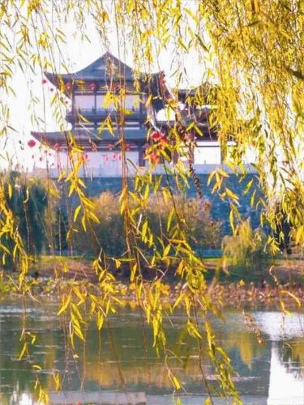 河北邯郸魏县｜礼贤台·魏祠·神龟驮城