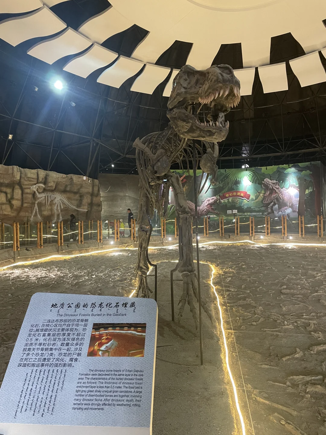 内蒙景美人少，对北京居民免费！