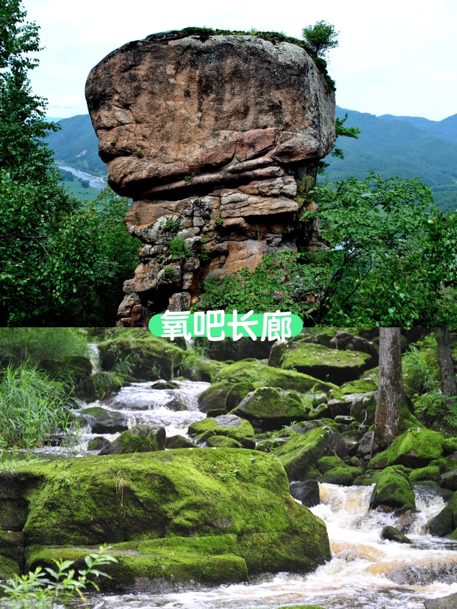 伊春第1⃣站｜汤旺河，绿野仙踪入口在这里