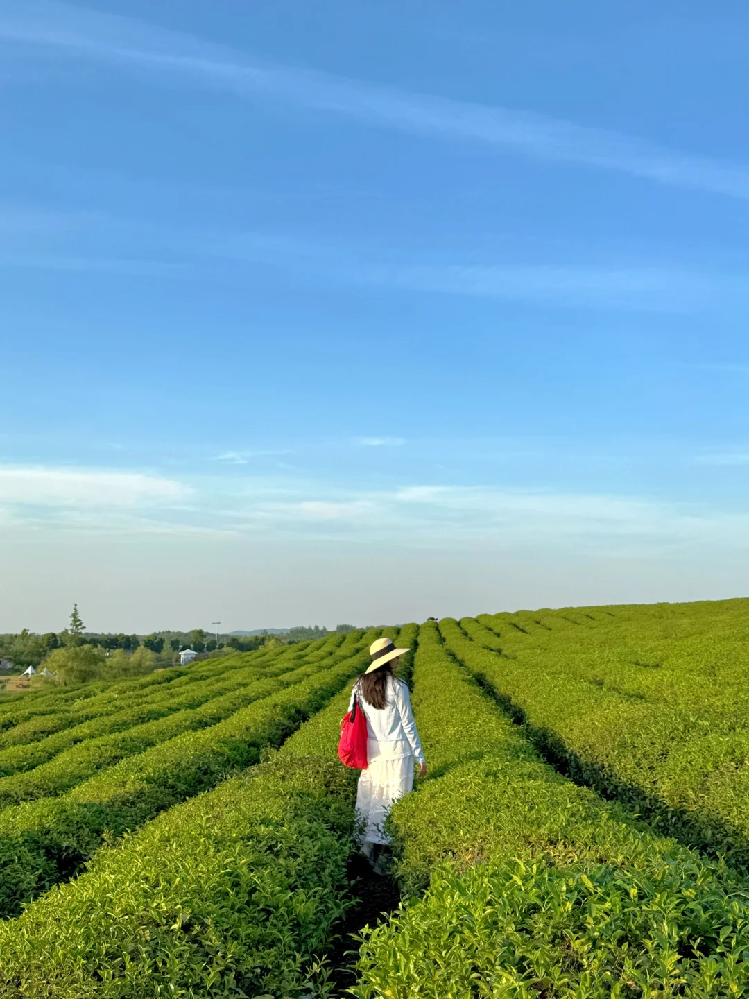 溧阳旅游攻略