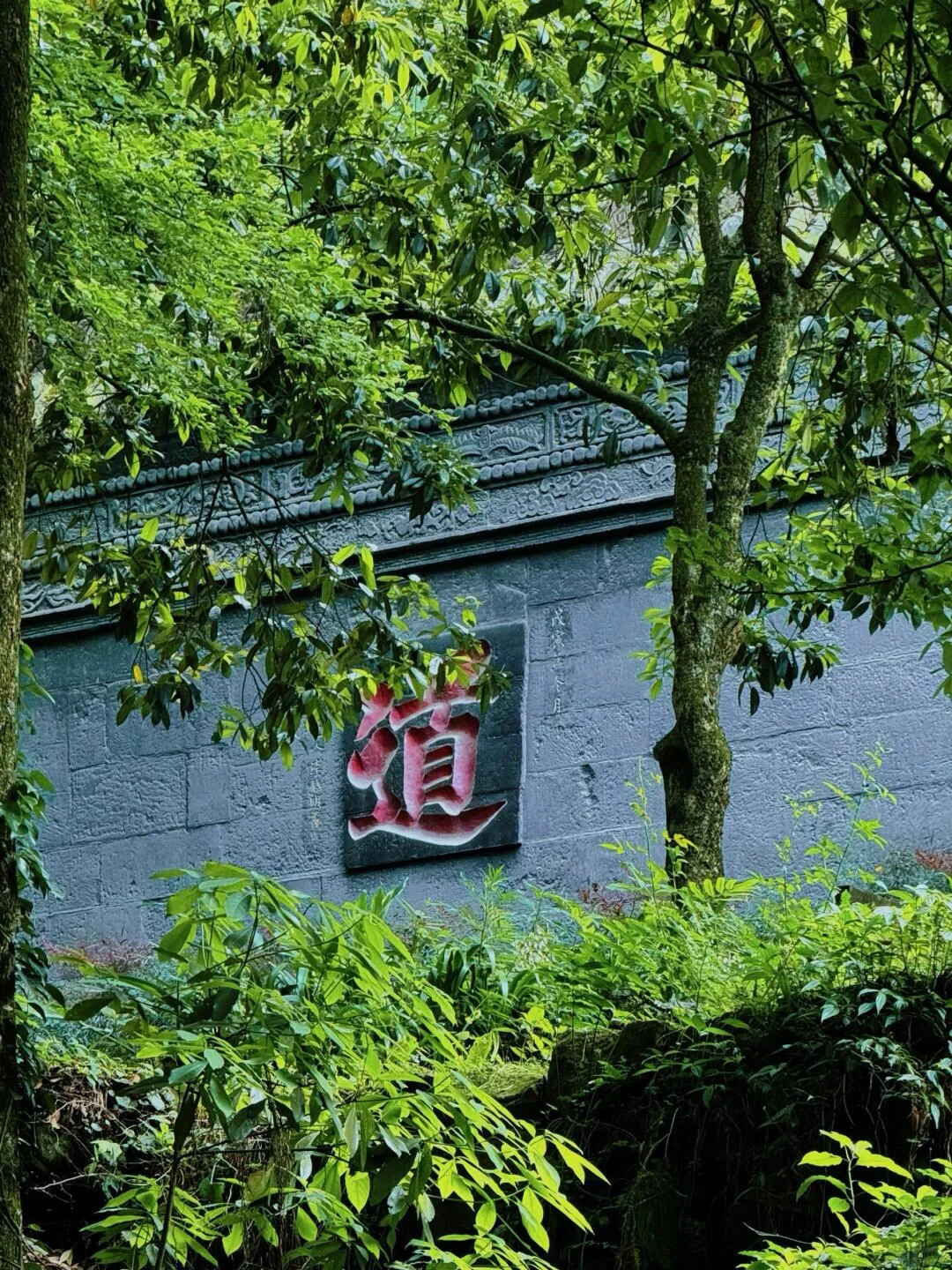 青城山旅游被宰已回😅…内容很脏，但真实！！！