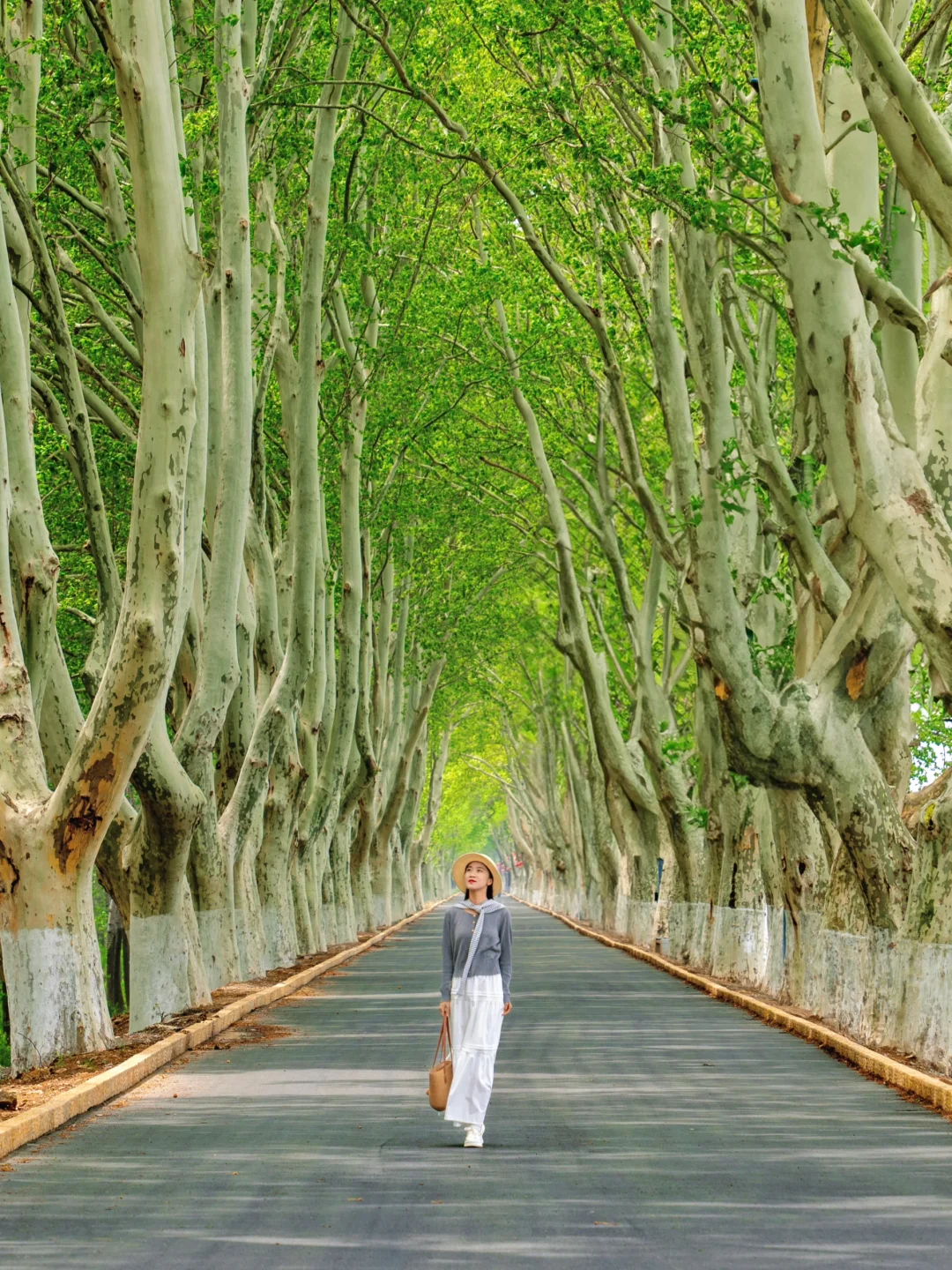 以为南京够美了，直到我来到了这座宝藏小城…