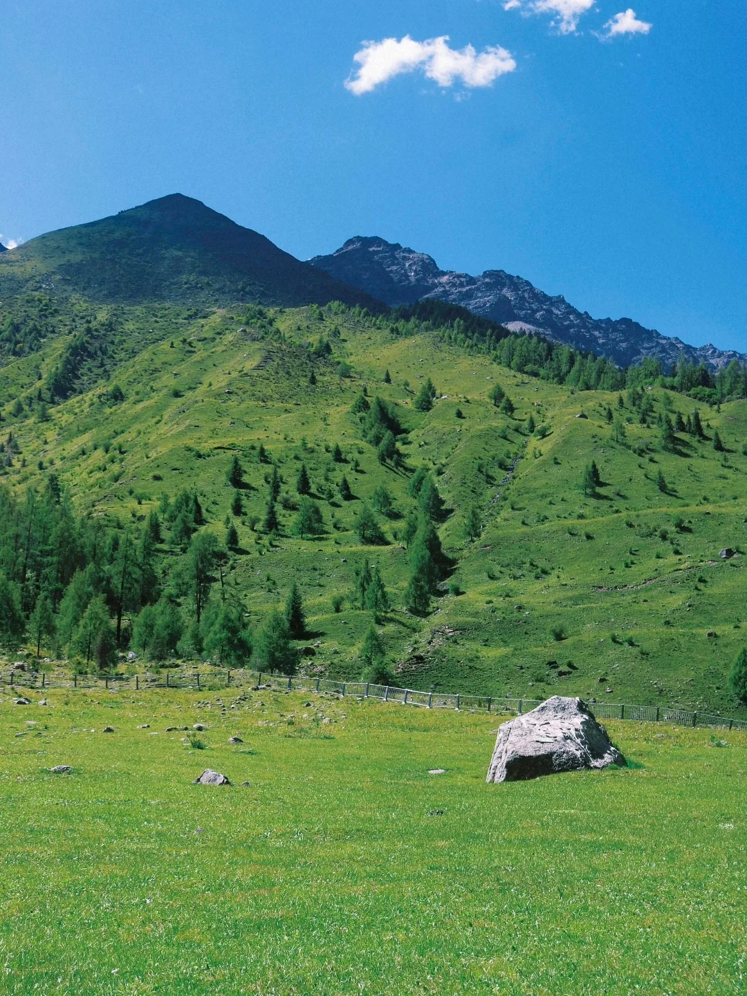 被问爆的四姑娘山攻略⛰ 带你解锁川西美景