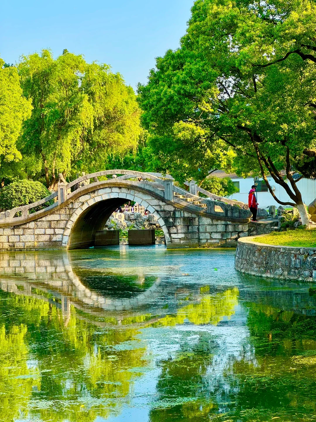 第一个发现南京这个机位的人是天才吧…