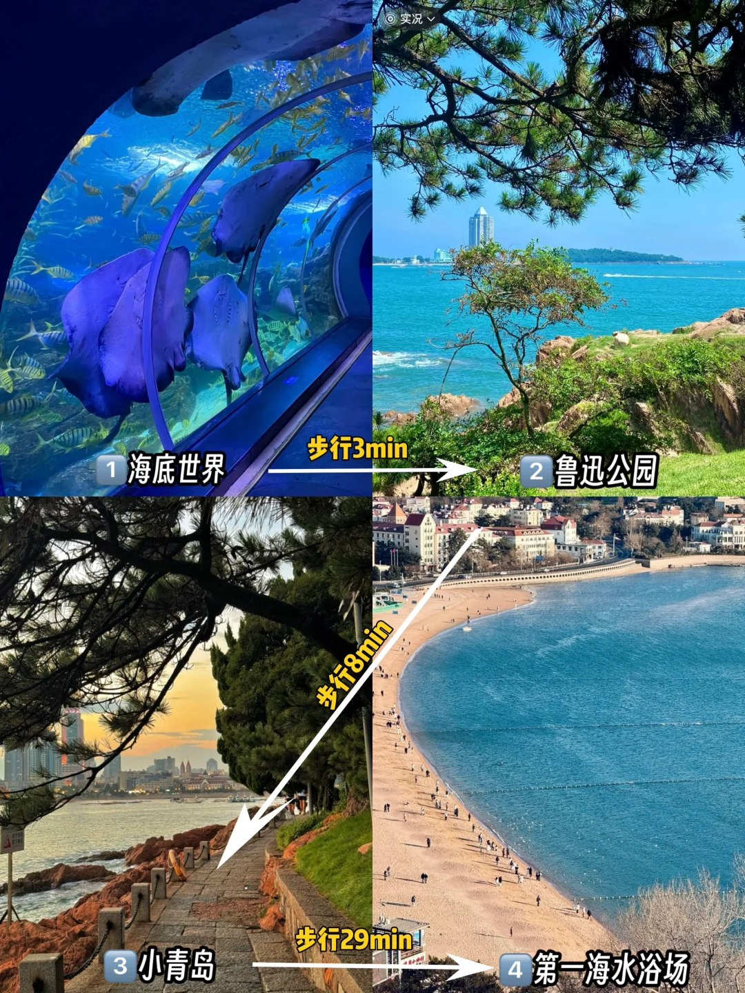 青岛会惩罚每一个不做攻略的人！！！