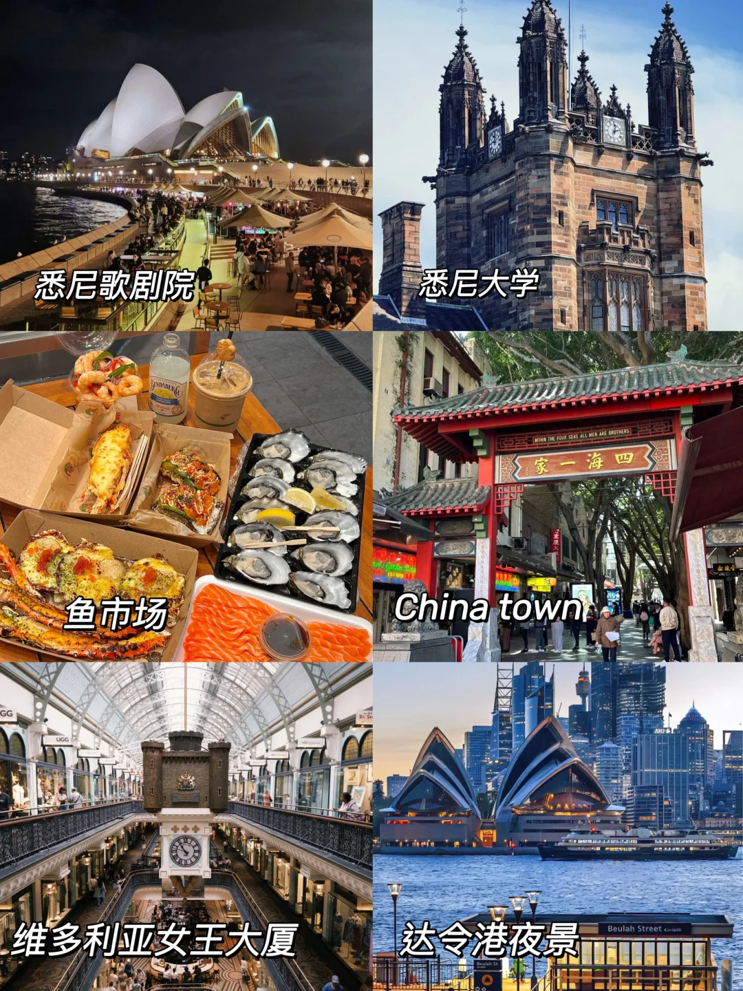 偷偷去悉尼被发现啦⁉️