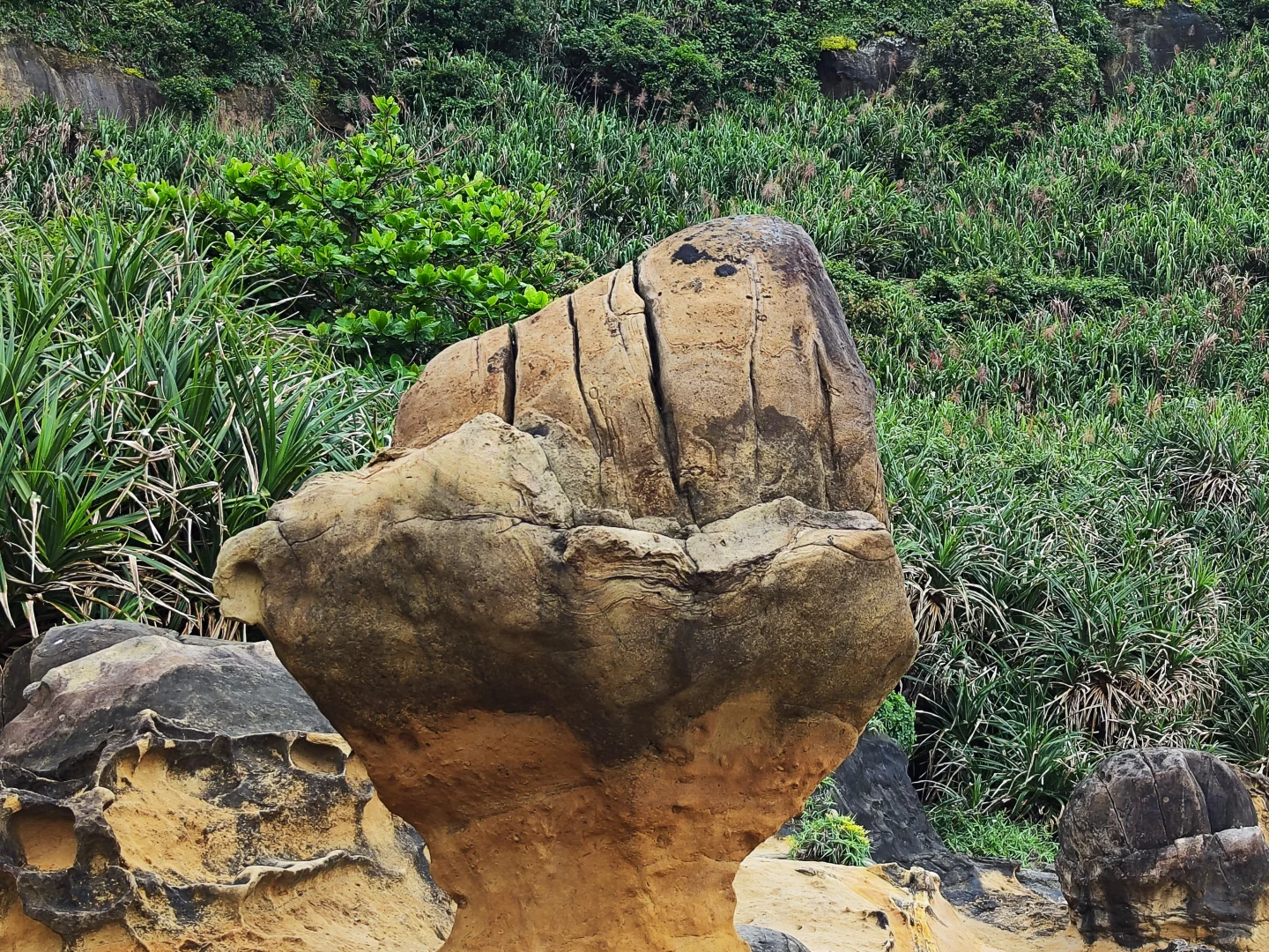 野柳，一個說走就走的旅行