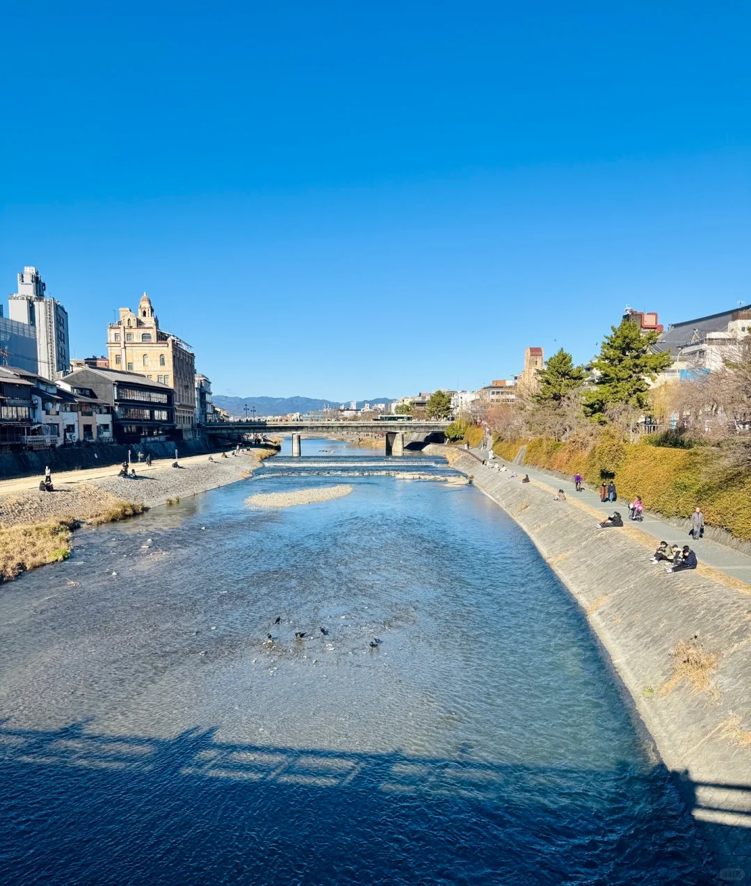 大阪&京都&奈良 | 旅行日记