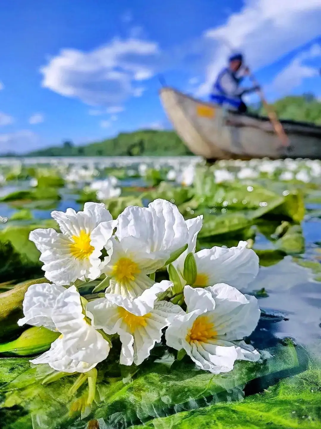 5.20📍泸沽湖已回，我的建议是…