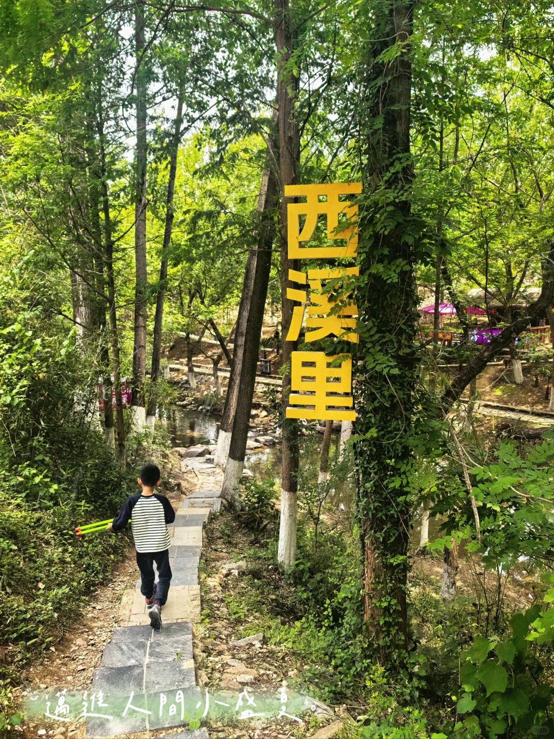 驱车 2 小时去平桥石坝，结果看到这副模样