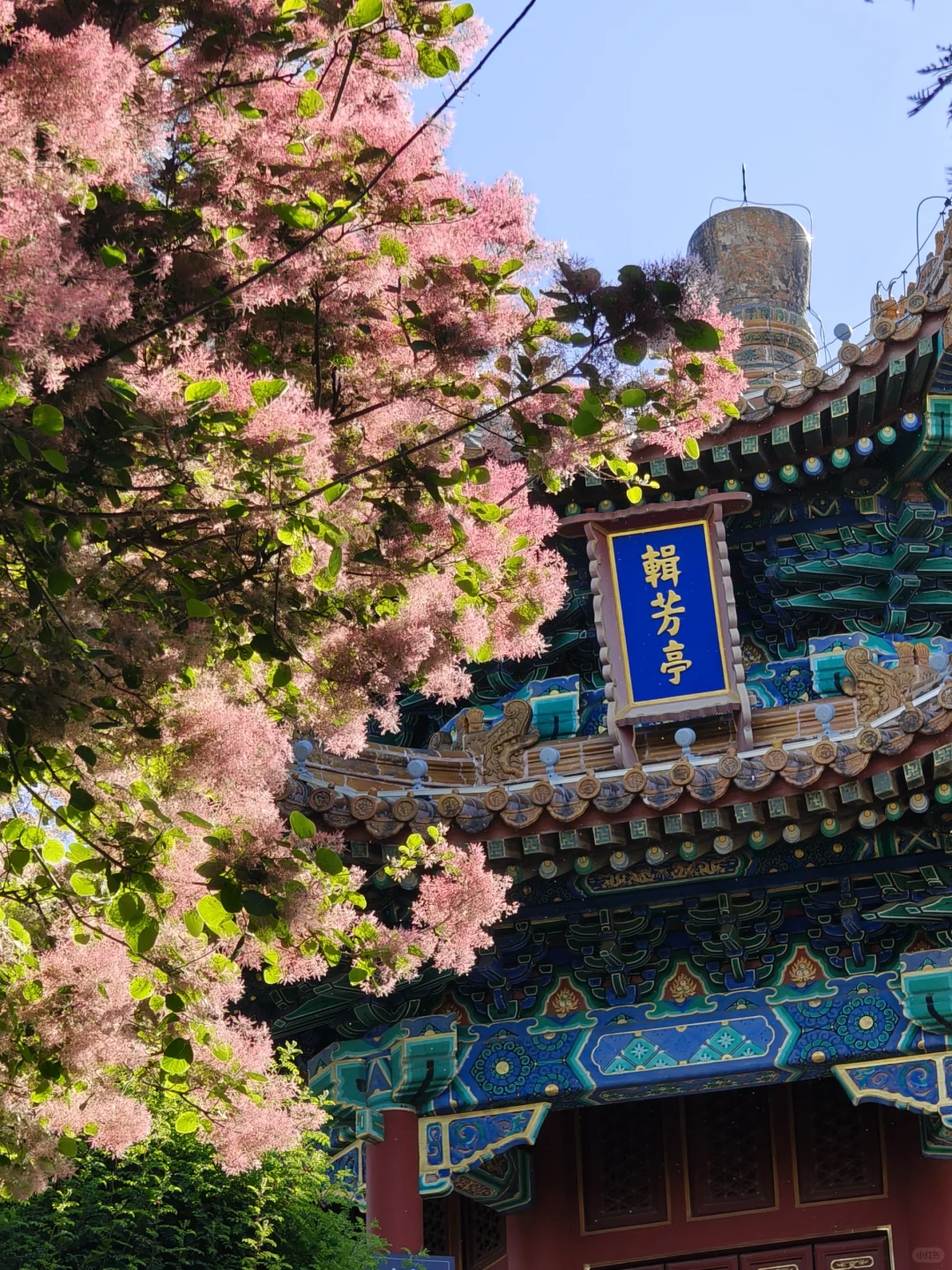 这景山