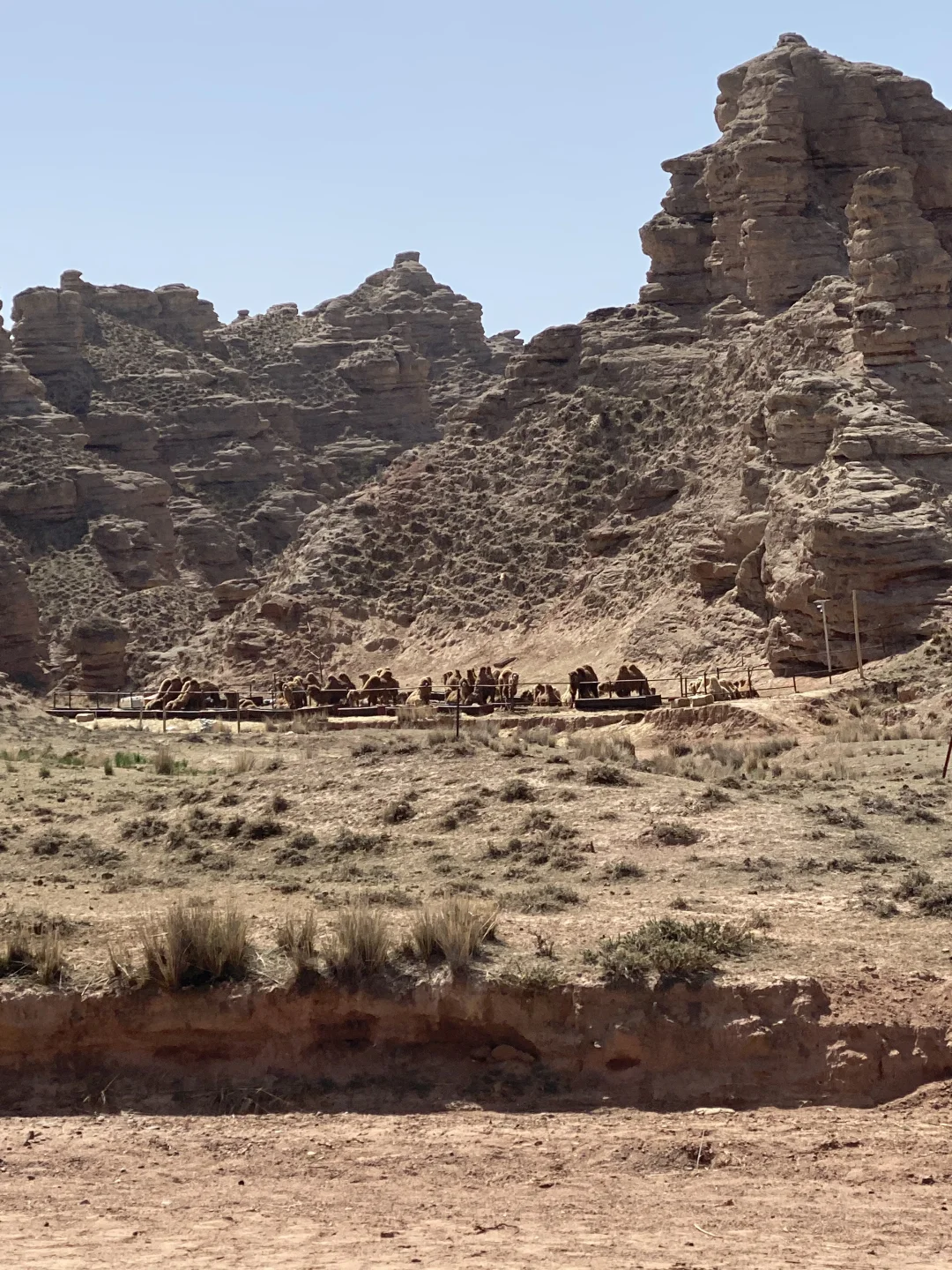 🐫探秘平山湖！解锁丝路新玩法