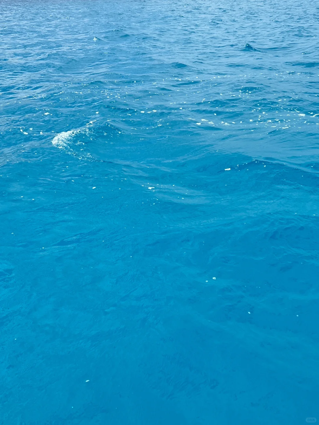 5.12📍赛里木湖已回，live实况，劝退不了一点