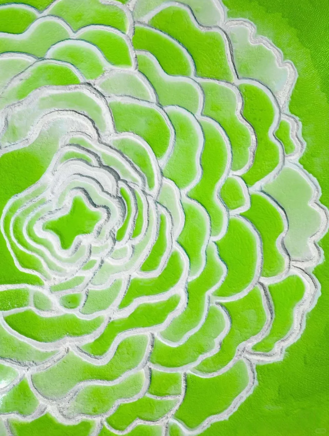 青苹果湖🍏