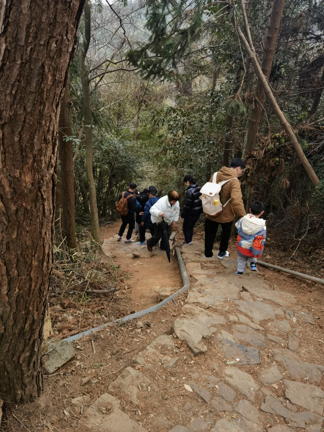 旺山徒步，小众路线有惊喜但别抱太高期待！