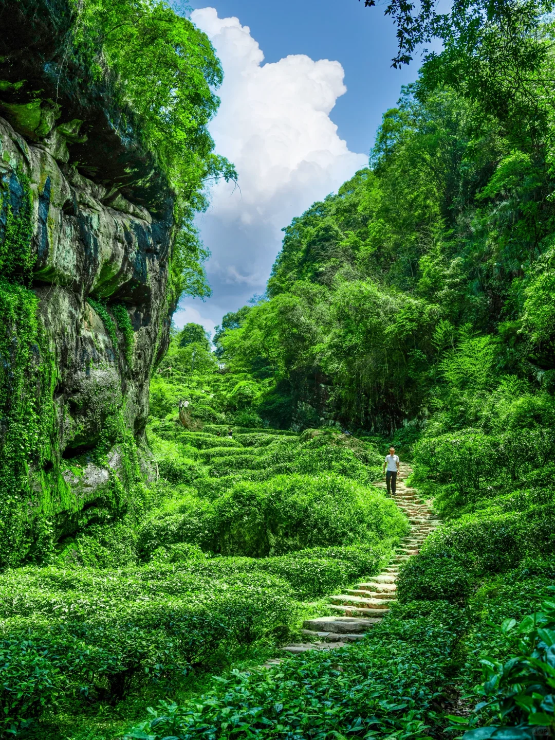 反向旅游天花板！江浙沪高铁2h直达人间仙境