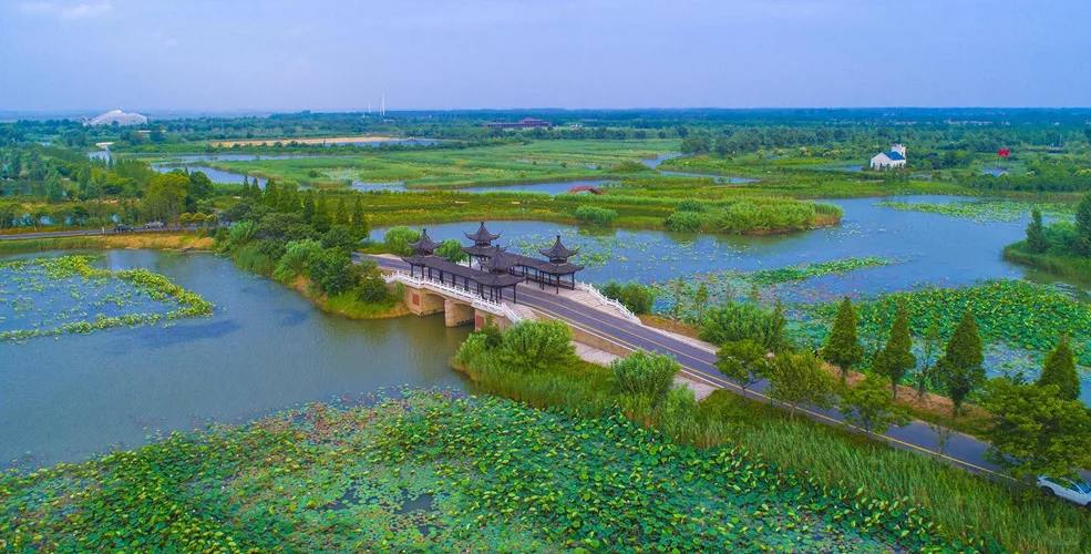 🌿洪泽湖湿地景区 | 水韵江苏的生态天堂