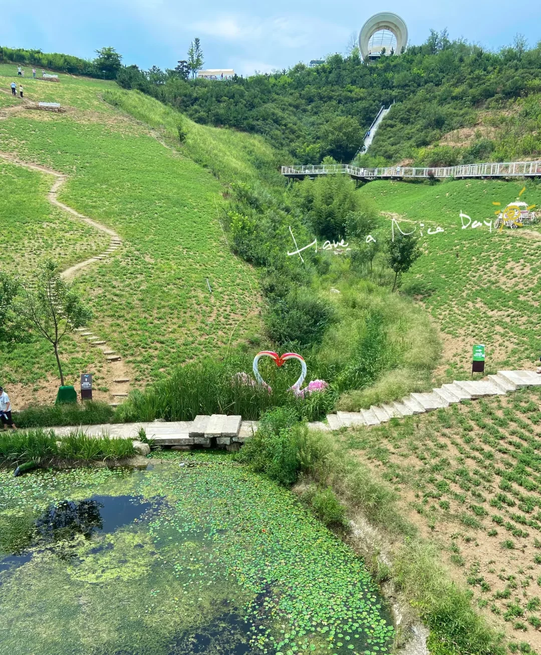 这颜值绝了，谁拍谁好看！📸📷