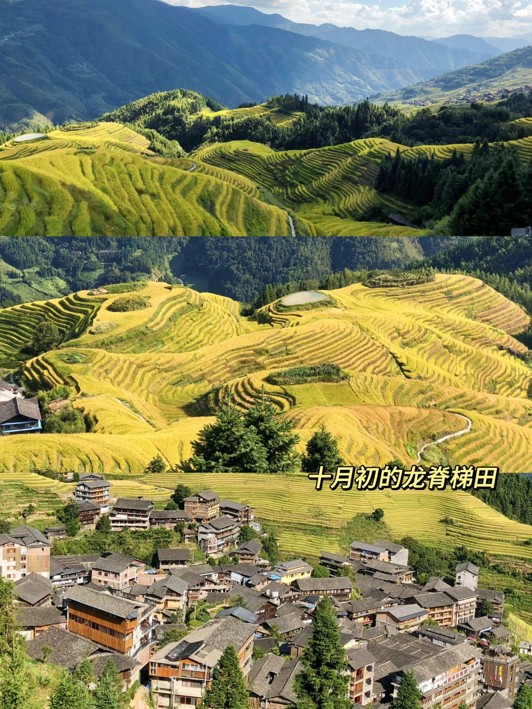 桂林阳朔｜四天三晚｜保姆级旅游攻略🔥
