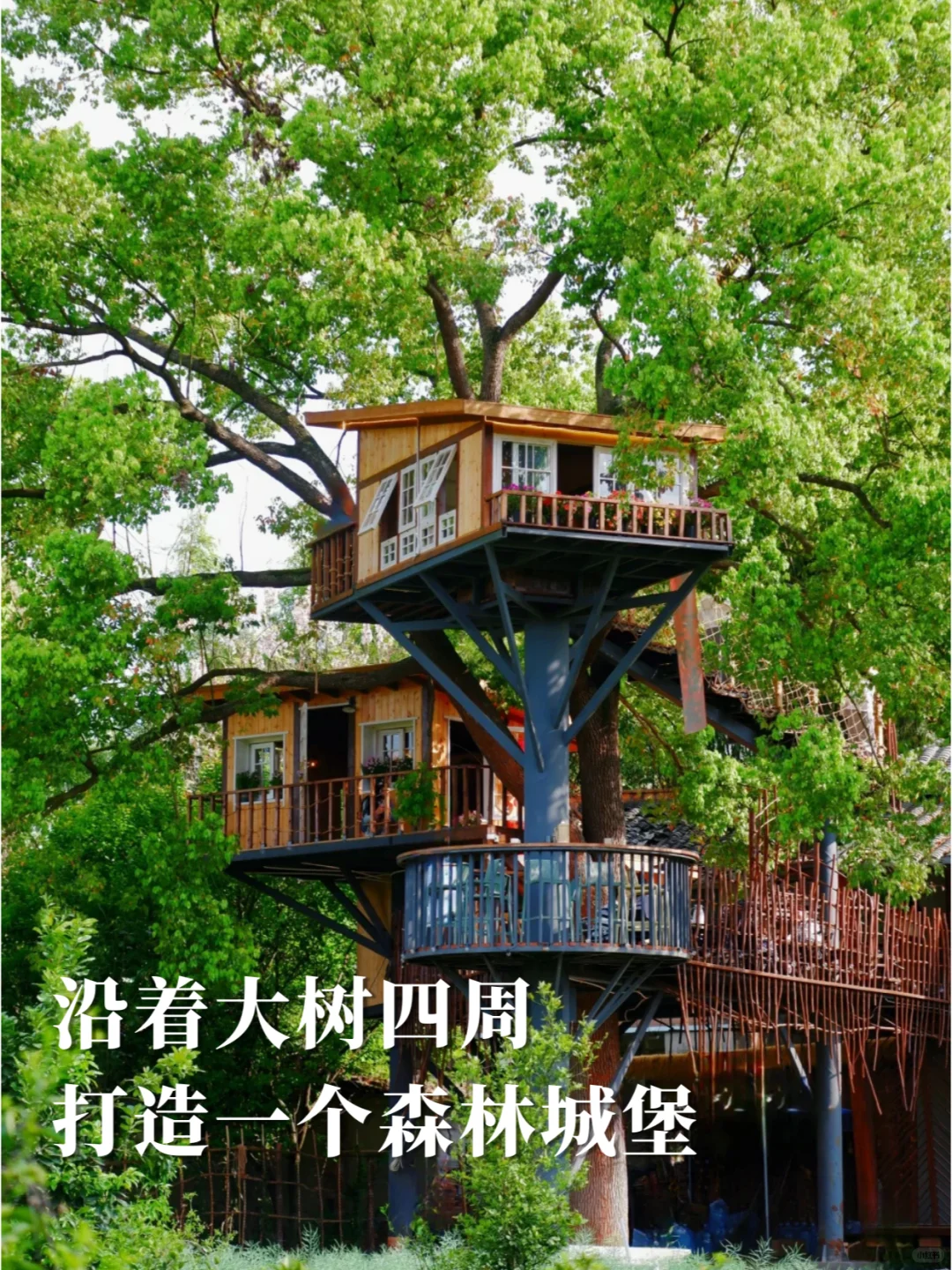 如果你有一棵树，怎么打造网红场景？