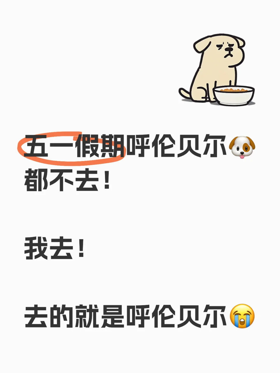 五一假期🐶都不去的呼伦贝尔，我去！🙋‍♂️