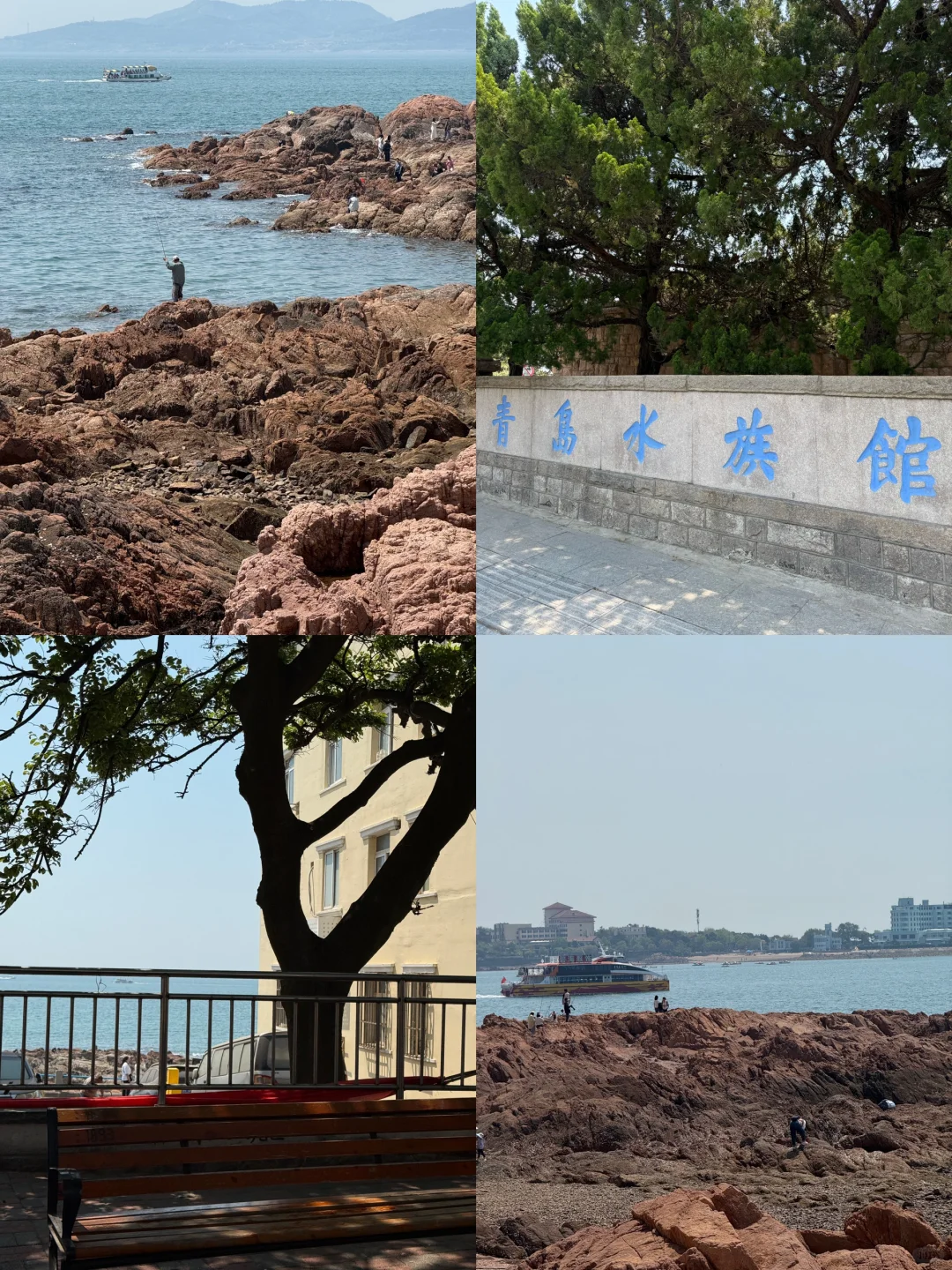 青岛📍两天一夜，不费腿保姆级逛吃攻略