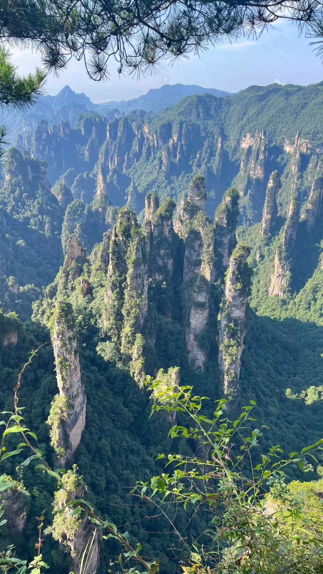 张家界及周边必玩景点Top8！仙境打卡全攻略