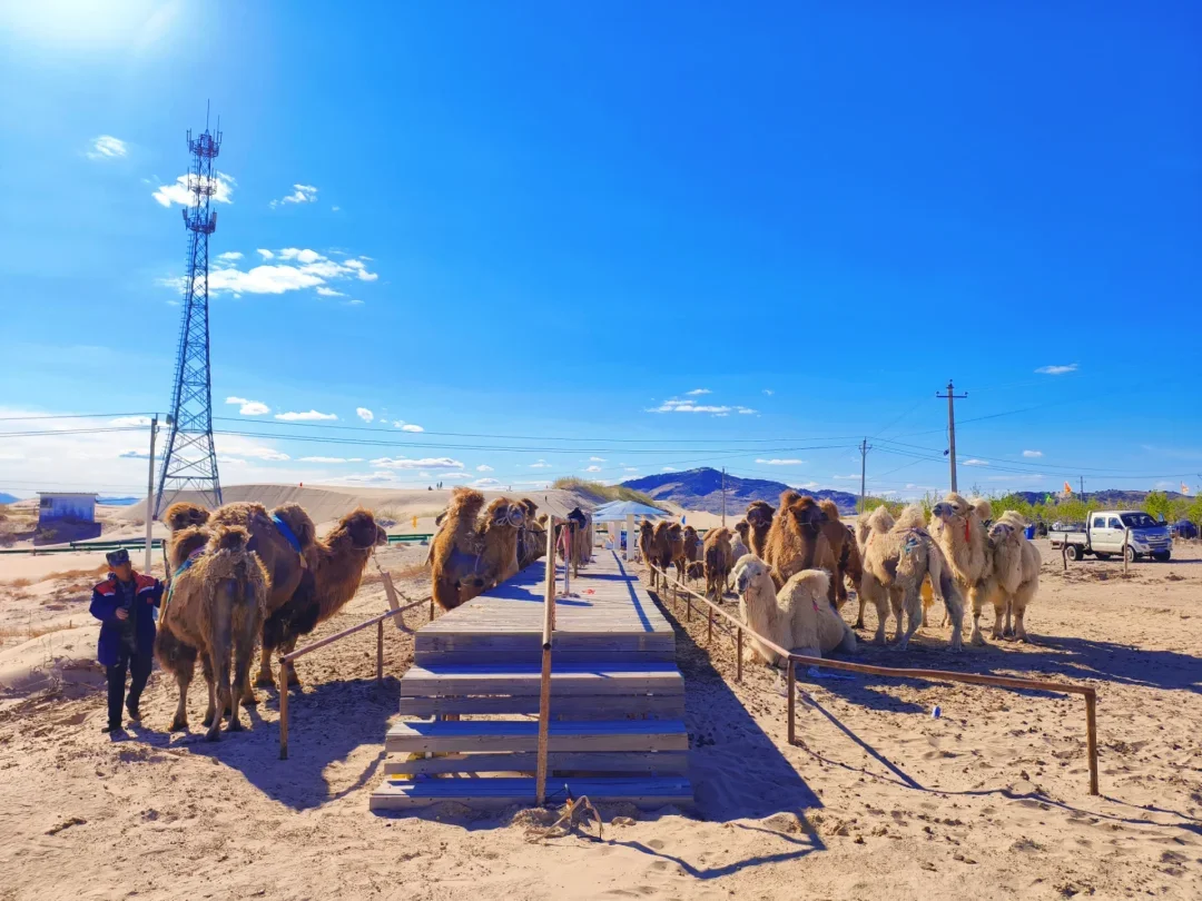 端午｜热阿达达乌兰布统紧凑旅游路线攻略‼️
