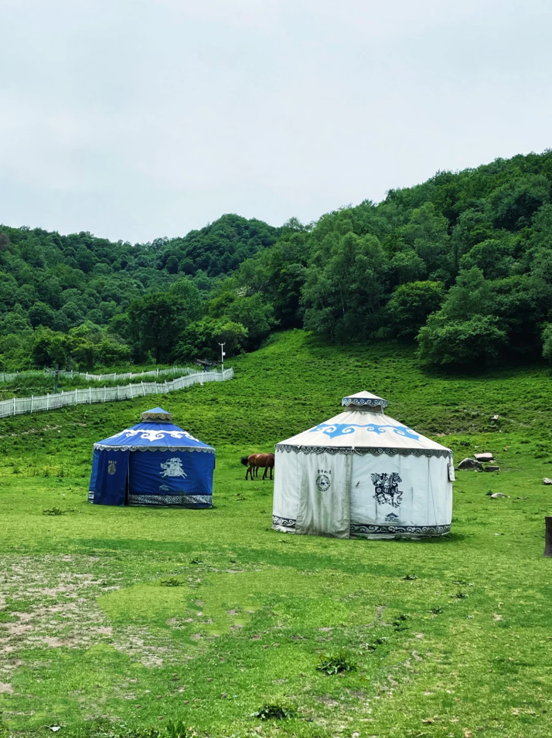 大水川一日游｜西安出发！牧场×高山草甸！