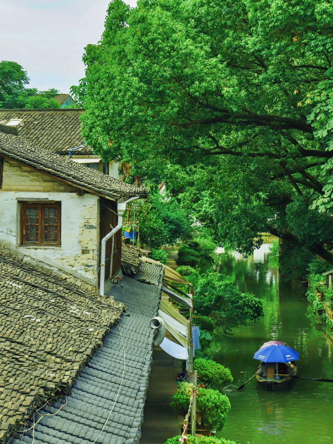刚从绍兴回来，听听我的大实话｜1日游避坑