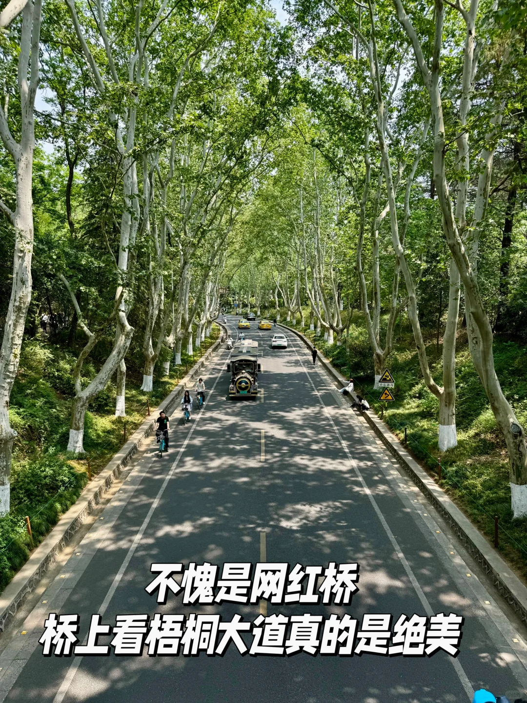 南京梧桐大道网红桥打卡路线指南（步行版）
