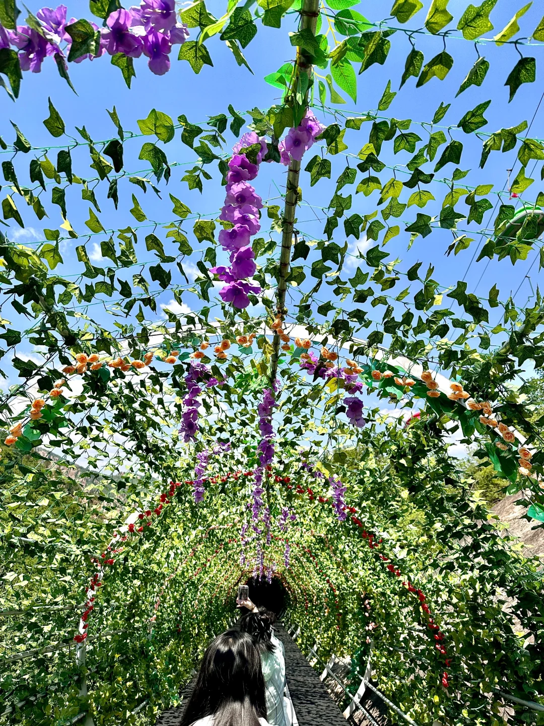 夏日清凉好去处！一站式游玩攻略