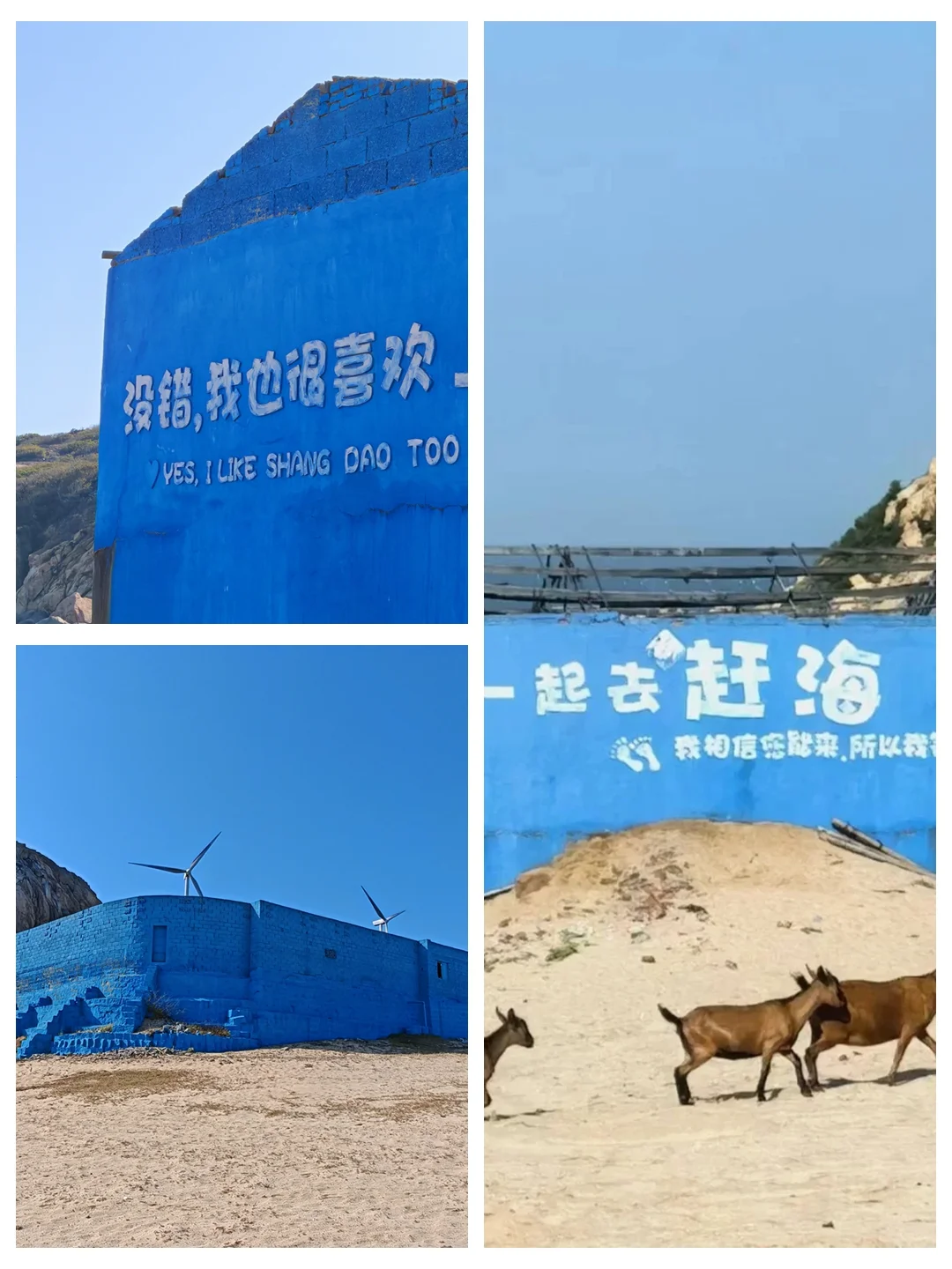 1条路线8个景点！快收藏，南日这条线路爆了